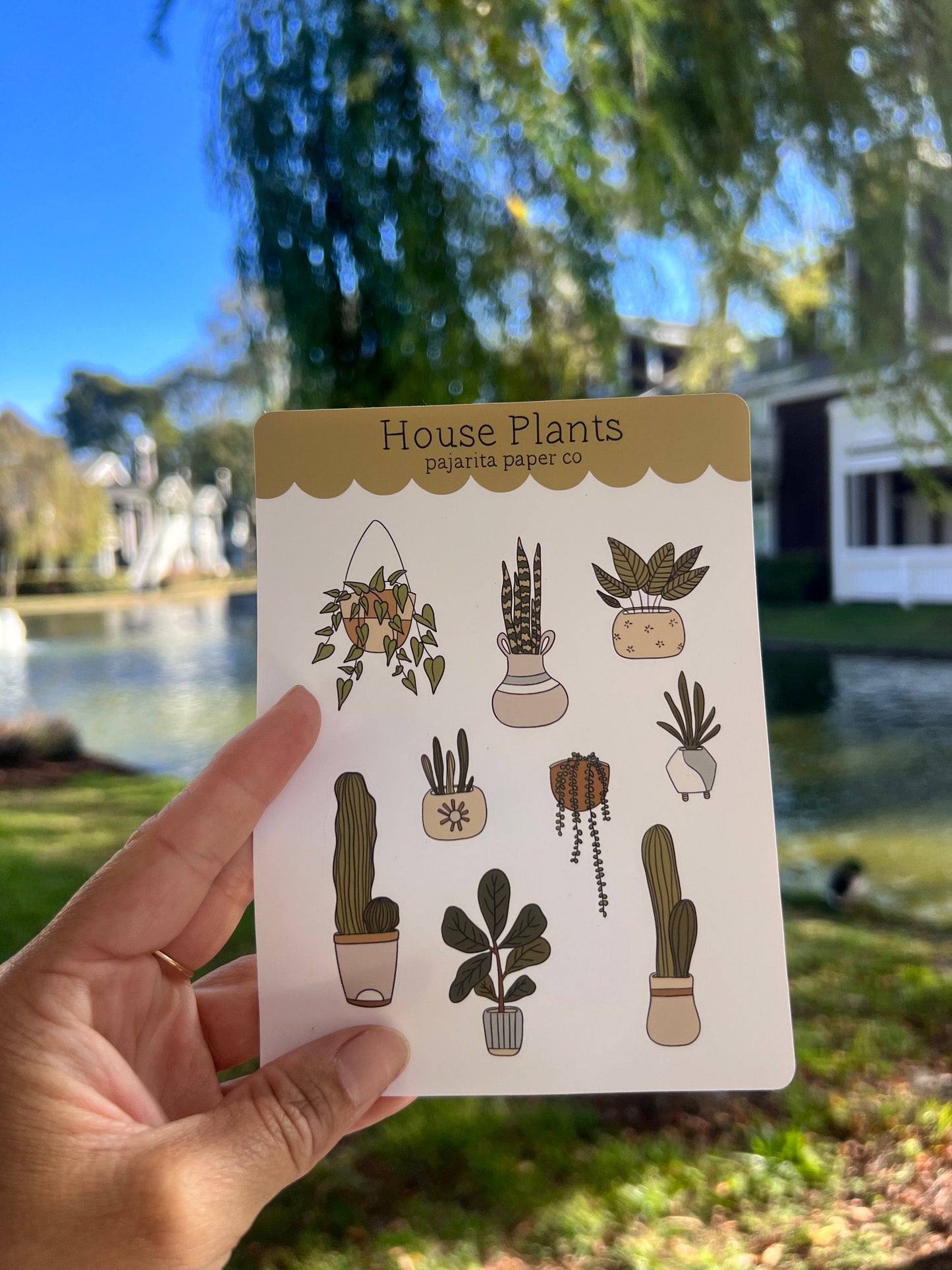 House Plants Sticker Sheet | Journaling Stickers | Planner Paper Stickers