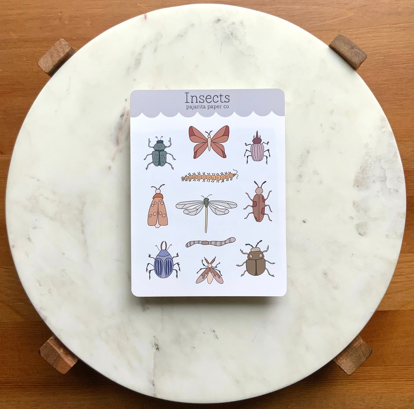 Insects Sticker Sheet | Journal Stickers | Planner Paper Stickers