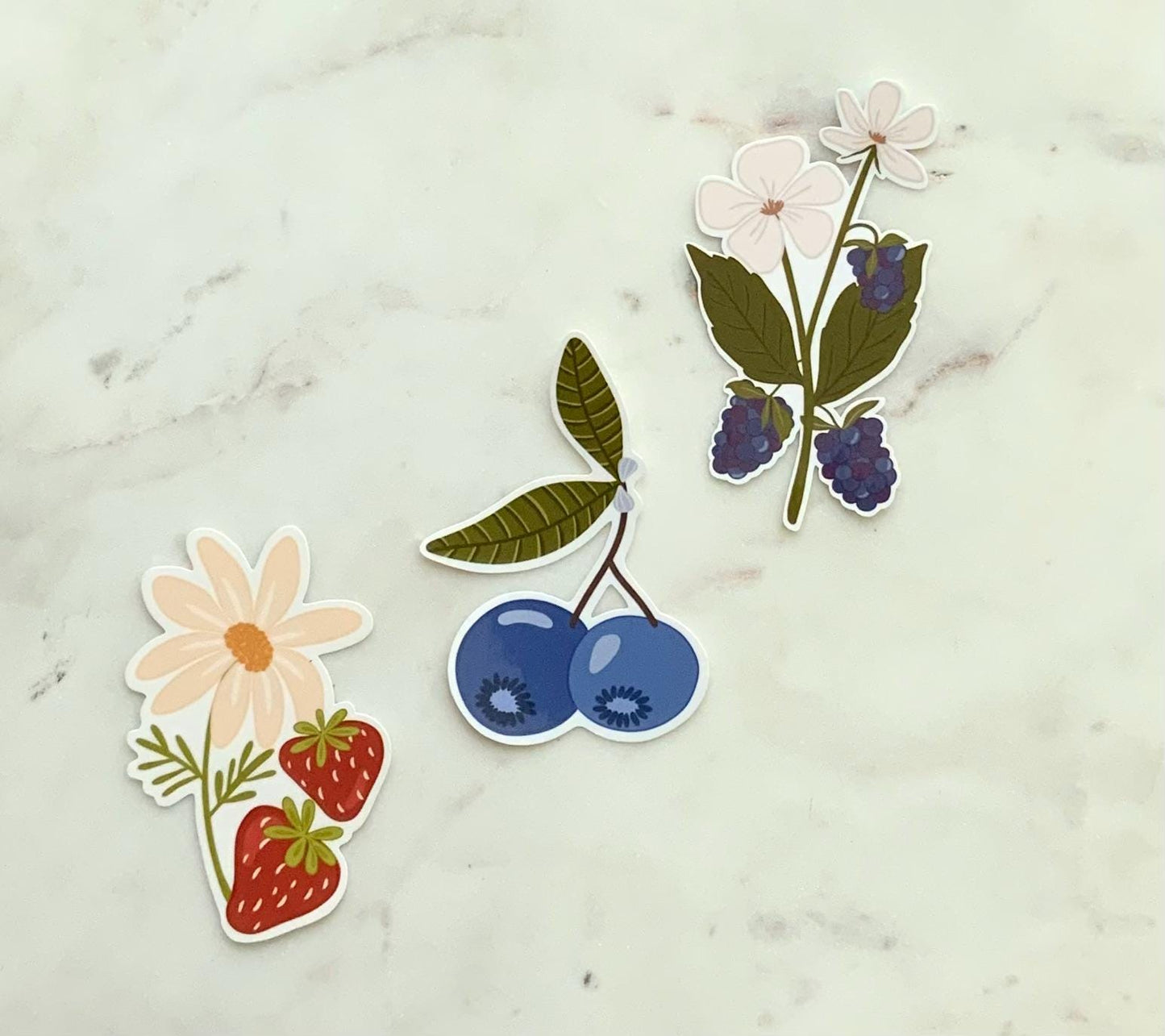 Blackberry Flower Sticker | Fruit Stickers | Summer Stickers | Blackberry Theme