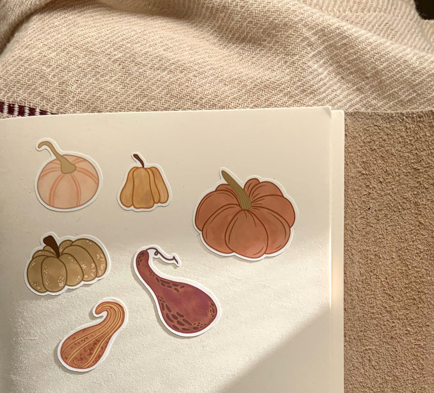 Fall Squash Sticker Sheet | Kids Stickers | Pumpkin Theme | Journaling Stickers