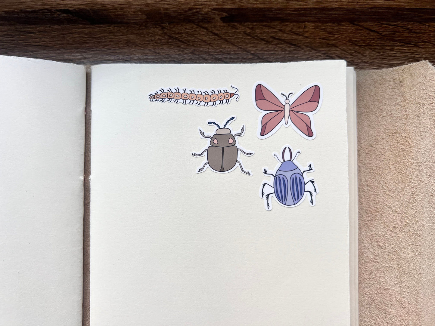 Insects Sticker Sheet | Journal Stickers | Planner Paper Stickers